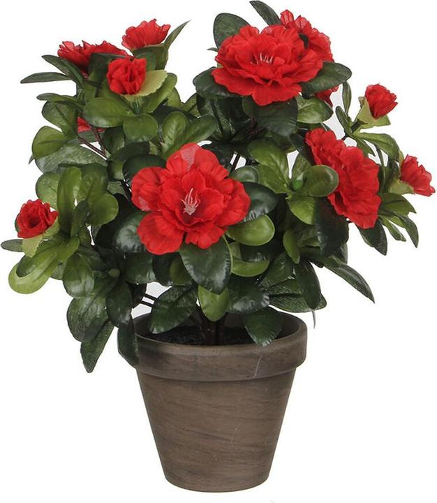 Mica Decorations Dekorationspflanze 10,5 x 21,5 x 15 cm Azalee (21.50 cm)