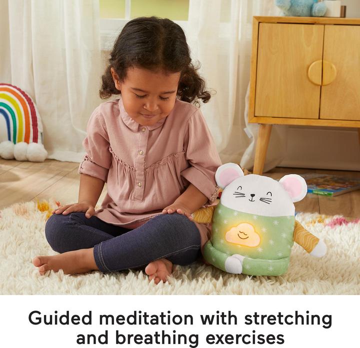 Actual product image Fisher-Price Meditation Mouse