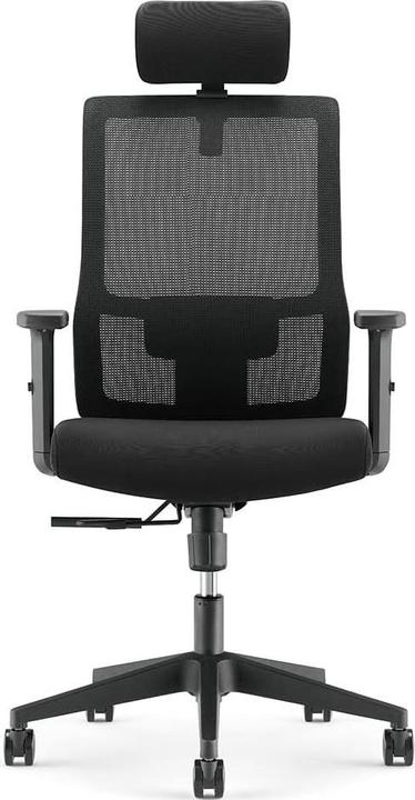 Actual product image Waytex Ergonomic Office Chair with Adjustable Lumbar Support, Headrest, and Synchronized Tilt