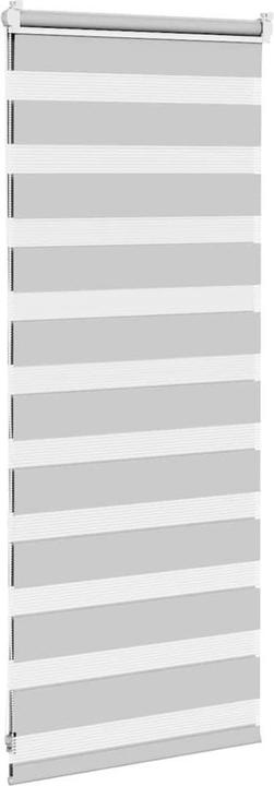 Produktbild vidaXL Zebra-Jalousie (65 x 100 cm)