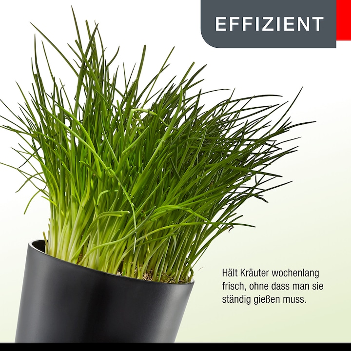 Produktbild GEFU Botanico (14.20 cm)