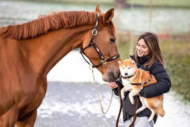 Immagine prodotto HFI Master Polo