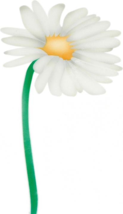 Produktbild Martellato Airbrush Schablone Margeriten