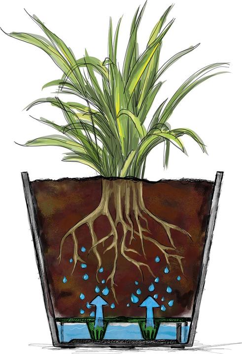 Image du produit Scheurich Groove+ (38 x 35.20 cm)