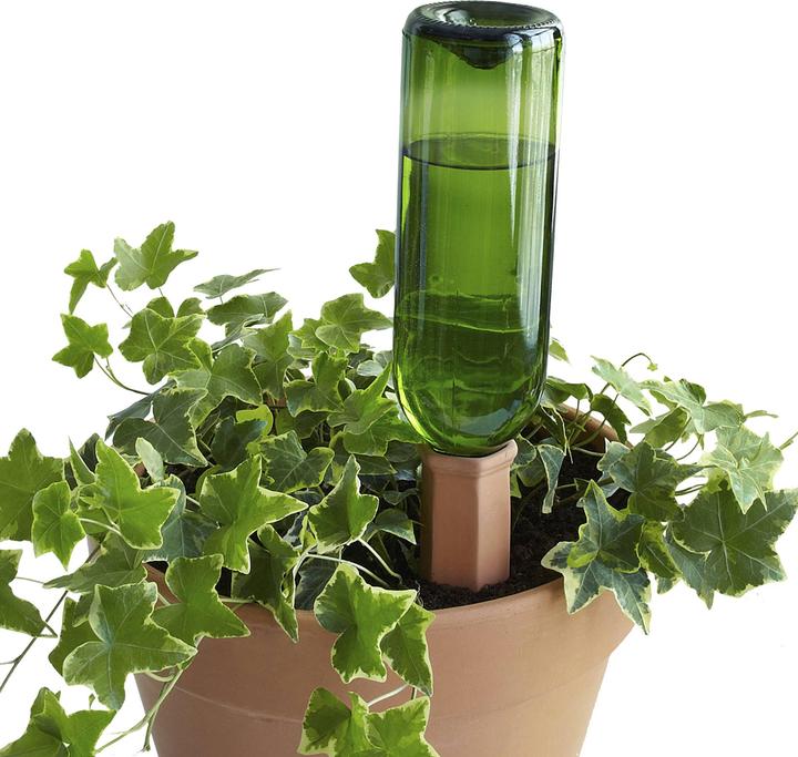 Bio Green Hydro Wine Tonkegel (Tonkegel Bewässerung)