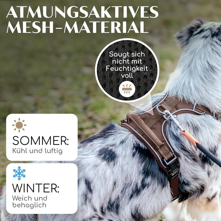 Actual product image Freudentier Hundegeschirr mit Griff, gepolstert & sicher (S, Dog)