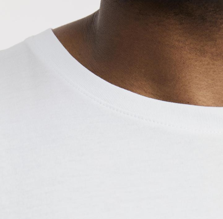 Actual product image Jack & Jones Jjeorganic Basic Tee Ss O-Neck Noos Pls (8XL)