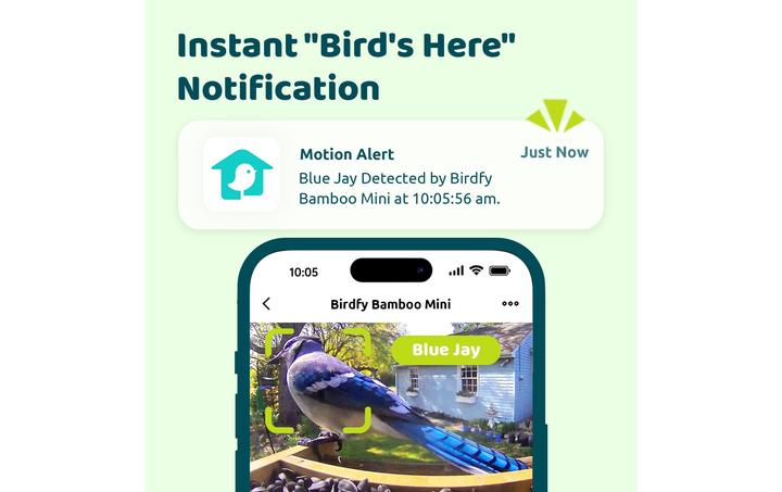 Produktbild Birdfy Futterspender FSC Bambus Mini Solar
