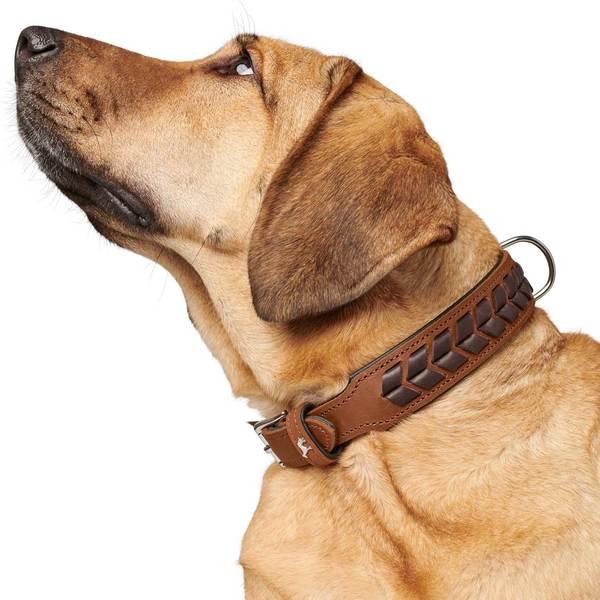 Actual product image Hunter Collar El Paso (S, M, Dog, Dog sport)