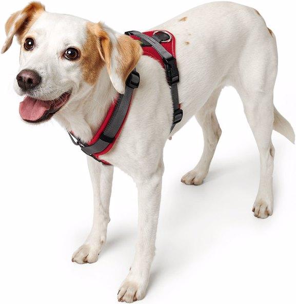 Actual product image Hunter Tableware Maldon (Dog, General)