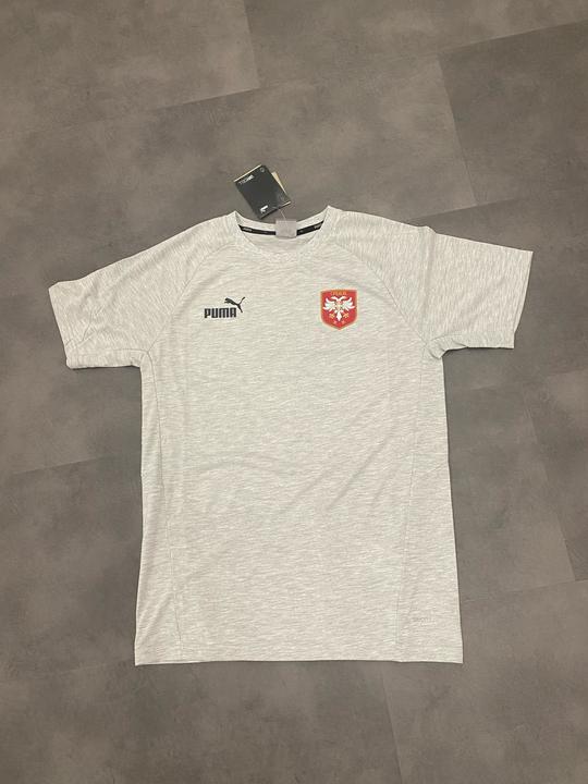Produktbild Puma Serbien TeamFINAL Casuals Tee (S)