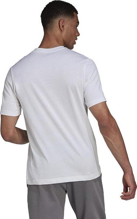 Produktbild Adidas Entrada 22 TShirt (M)