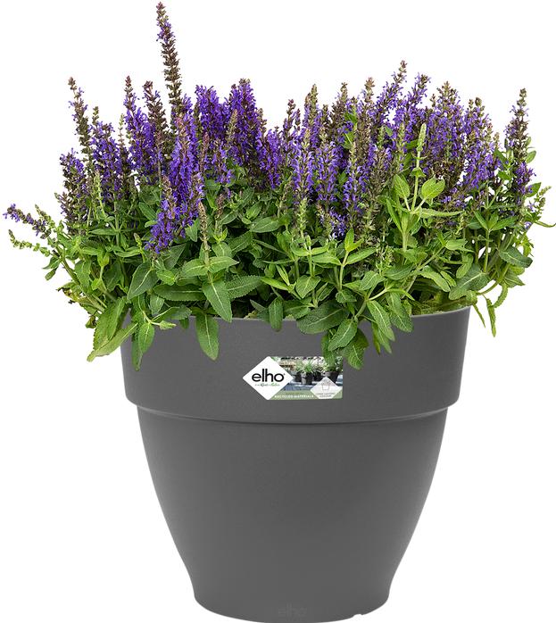 Actual product image Elho Vibia Campana (20 x 17 cm)