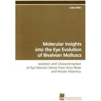 Molecular Insights into the Eye Evolution of Bivalvian Molluscs, Fachbücher von Lukas Keller