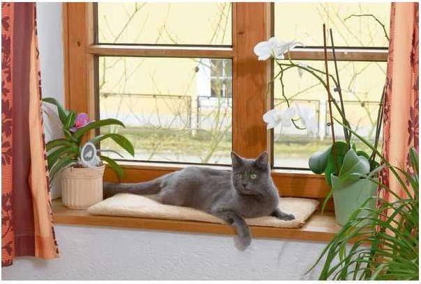 Produktbild Kerbl Fensterliegekissen 60x26x2cm, selbstwärmend (Hund, Katze)
