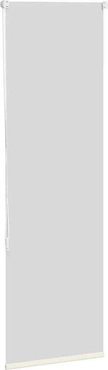 Actual product image vidaXL Verdunkelungsrollo (55 x 150 cm)