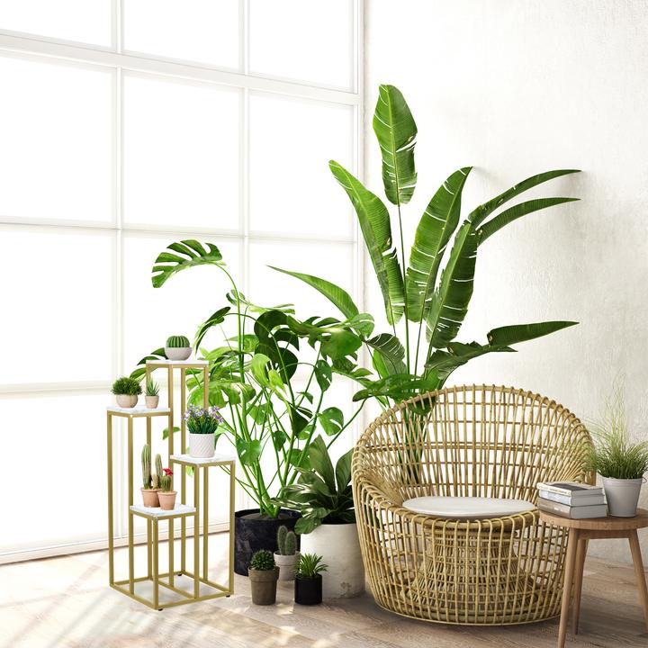 Image du produit Relaxdays Support pour plantes avec 4 étagères