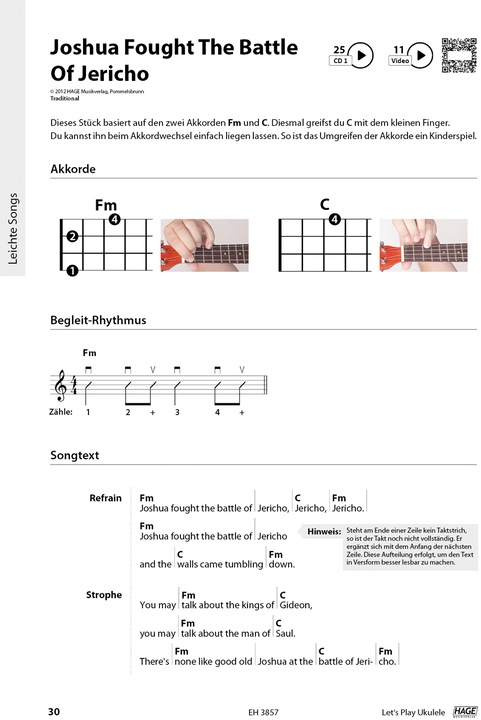 Actual product image Let's Play Ukulele with 2 CDs DVD (Concert)
