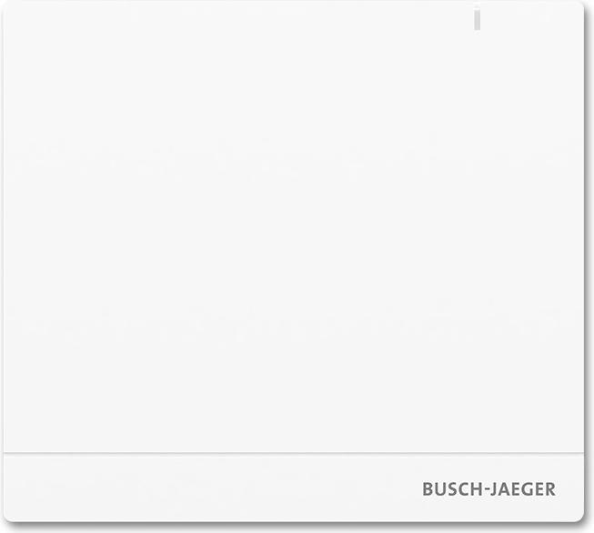 Actual product image Busch-Jaeger System
