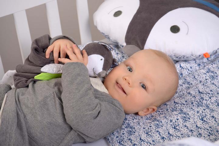 Actual product image Kikadu Fox