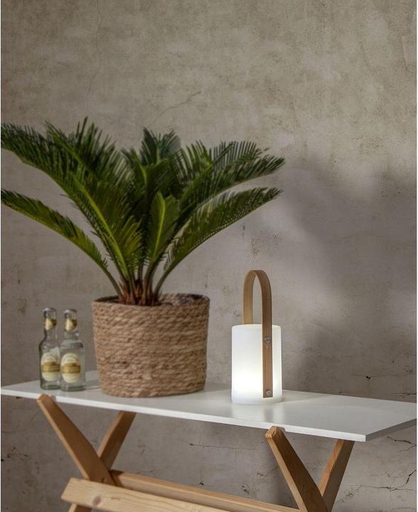 Produktbild Star Trading Laterne Lisa