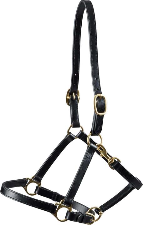 Image du produit Premier Equine Licol pour cheval en cuir