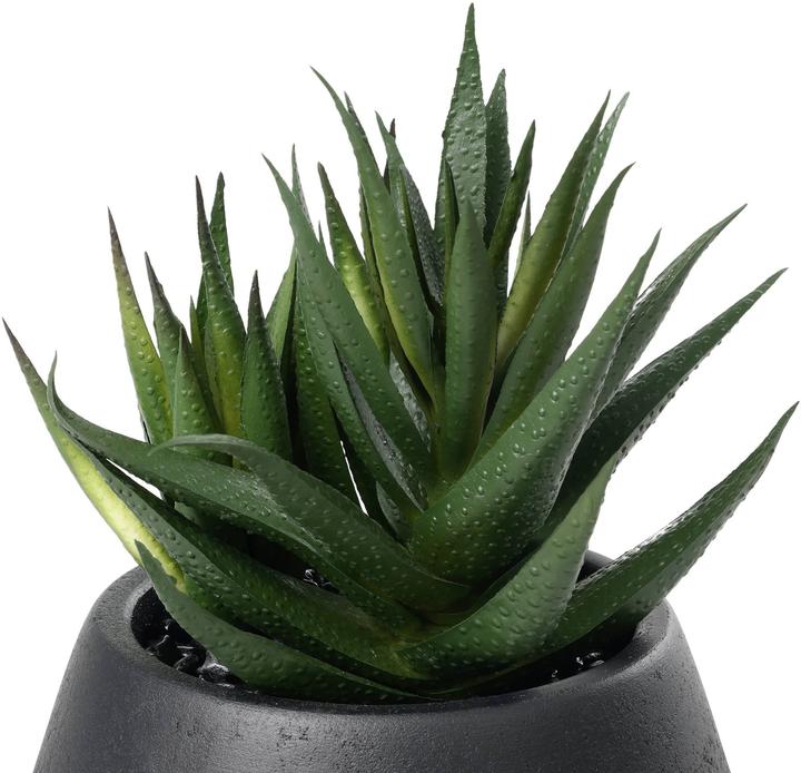 Immagine prodotto EGLO Pianta artificiale (17.50 cm)