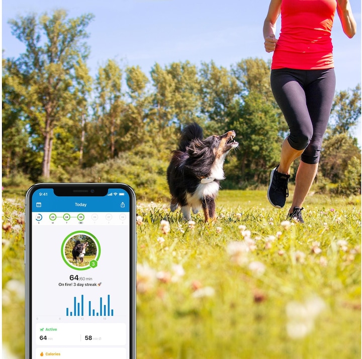 Actual product image Tractive Dog 4 GPS Tracker for Dogs (One size, Dog, General)