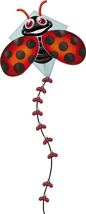 Actual product image Eolo Kites Ready 2 Fly - Pop-up Nylon Kite Ladybird