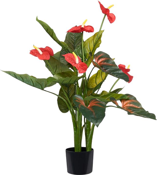 Produktbild Beliani Anthurium (95 cm)