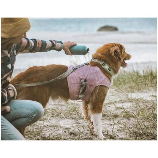 Thumbnail - Hurtta Cooling Wrap cooling vest, clove, 65 - 75 cm (L, Hundeweste), Hundebekleidung