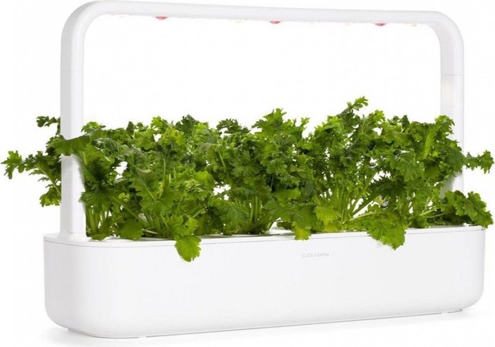 Immagine prodotto Click and Grow Semi Wasabi Mustard 3-Pack (Semi di erbe)