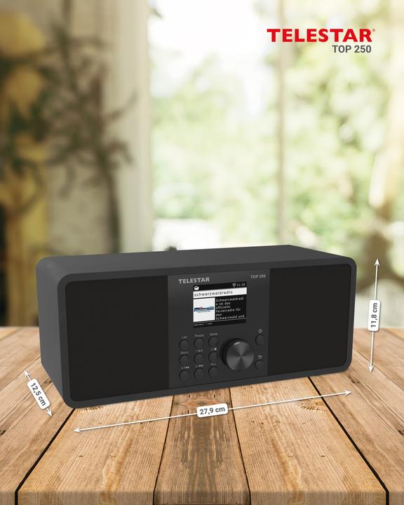Produktbild Telestar TOP 250 (Internetradio, DAB+, FM, Bluetooth, WLAN)