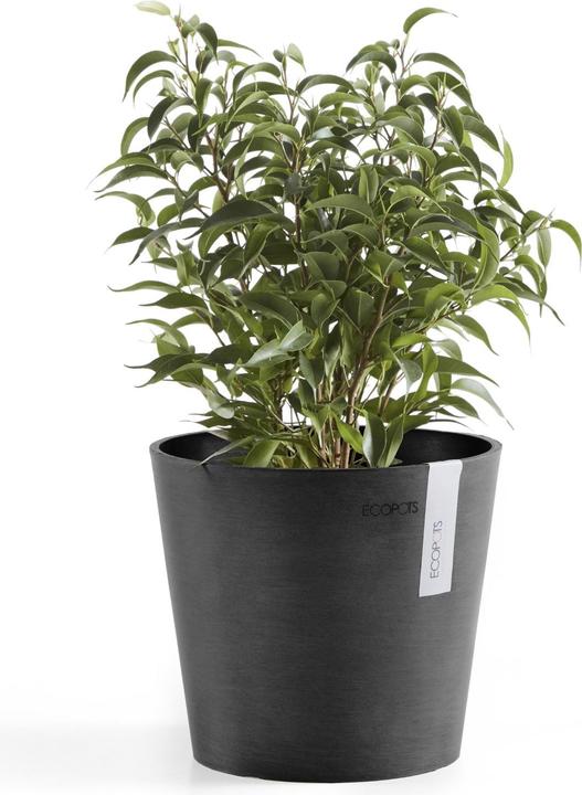 Produktbild Ecopots Amsterdam Mini (17 cm)