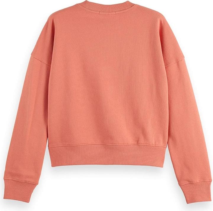 Image du produit Scotch & Soda Sweat-shirt décontracté brodé avec logo (M)