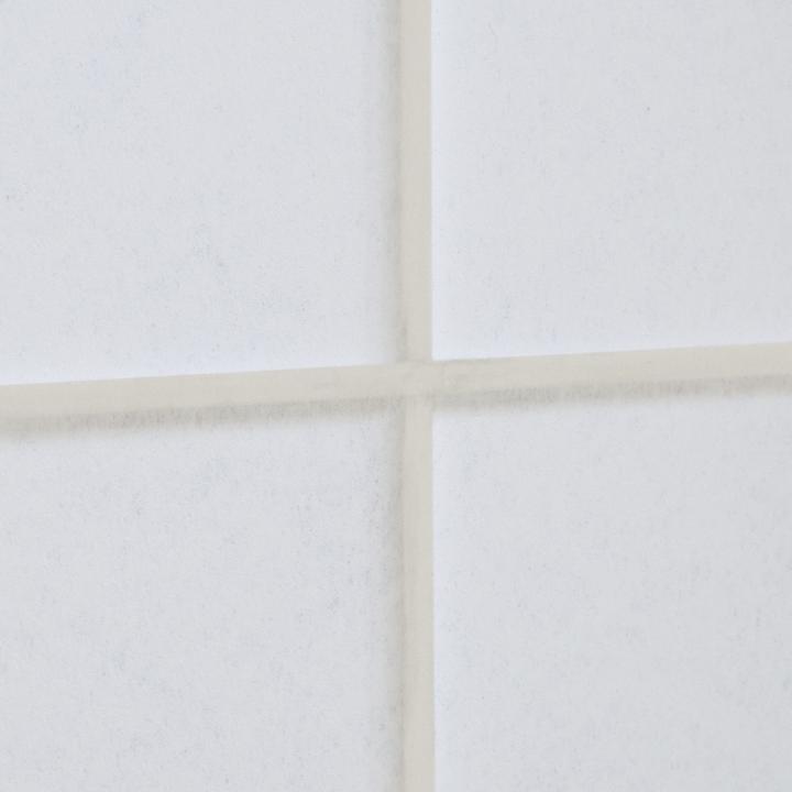 Actual product image Jamb Shoji