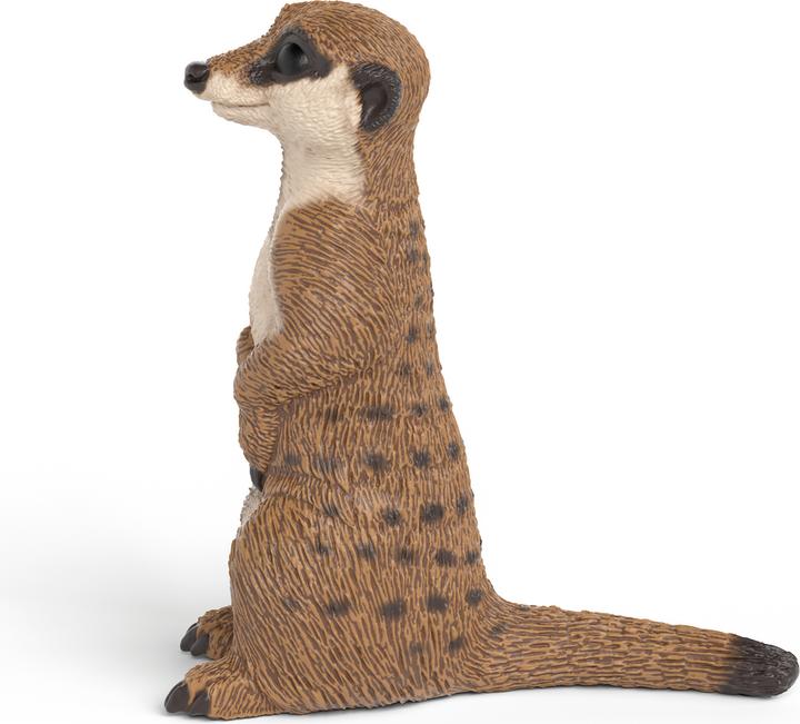 Immagine prodotto Schleich Erdmännchen