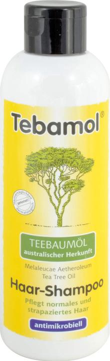 Tebamol Teebaumöl Haar-Shampoo, 200 ml Shampoo (200 ml, Flüssiges Shampoo)