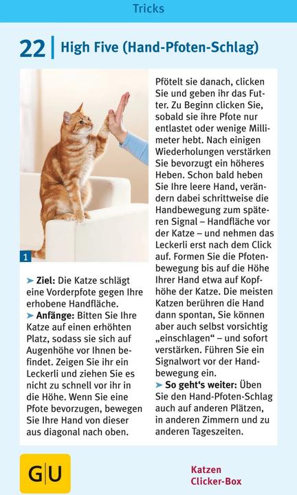 Immagine prodotto Katzen-Clicker-Box (Tedesco, Birgit Rödder, 2013)