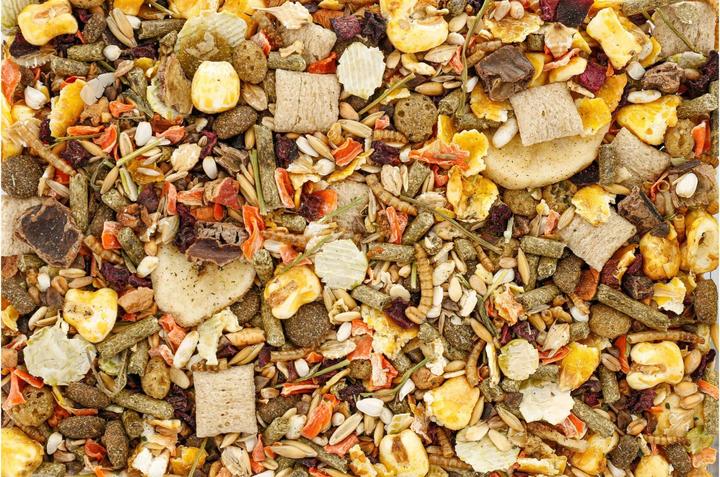 Image du produit Schweizer Aliment principal pour rats, 800 g (0.80 kg, 1 x)