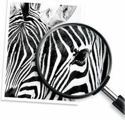 Actual product image
