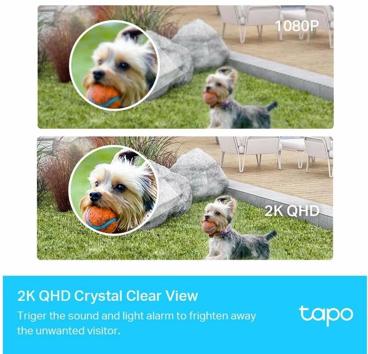 Actual product image TP-Link Tapo C420S2 (2560 x 1440 Pixels)