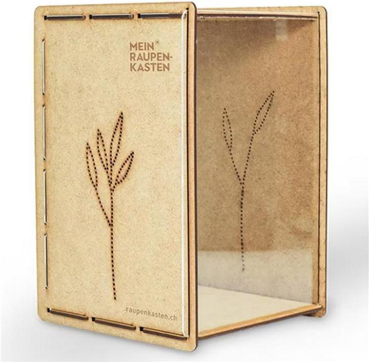 Mein Raupenkasten Caterpillar box (Butterflies)