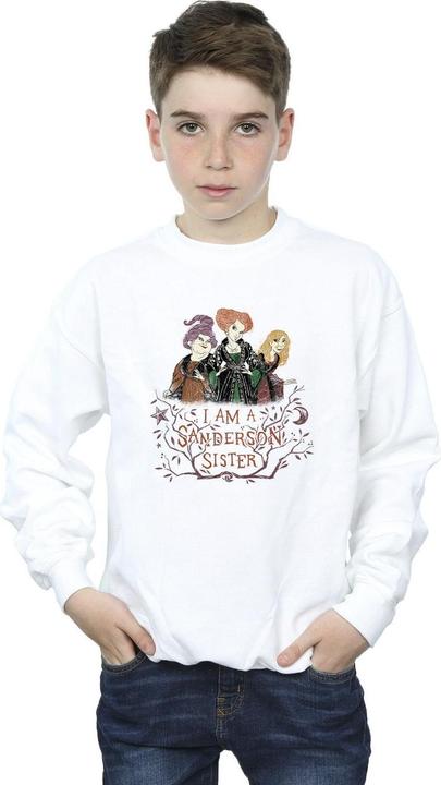 Produktbild Disney Hocus Pocus Sanderson Sister Sweatshirt Jungen (104)