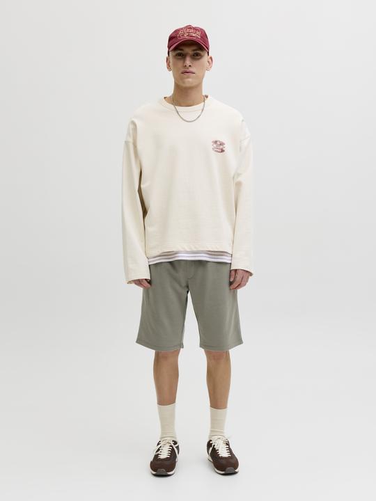 Image du produit Jack & Jones Regular Fit Sweat-Shorts Sweat-Shorts (XL)