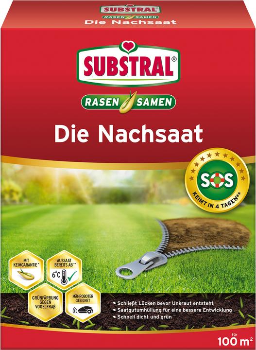Actual product image Substral The reseed 2 kg (Lawn reseed)