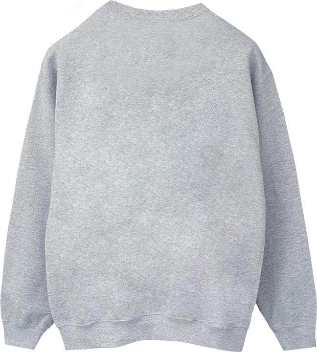 Produktbild Spidey And His Amazing Friends Flying Sweatshirt (XXL)