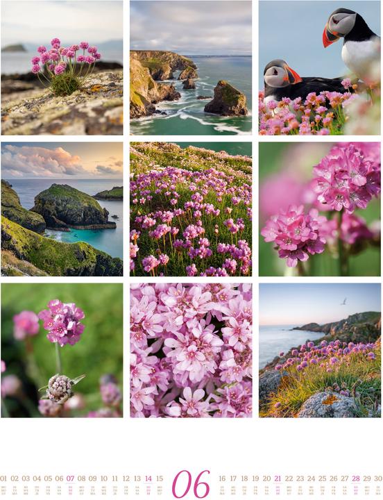 Image du produit Inspiration Natur Kalender 2026 (Couverture rigide, Anglais, Français, Allemand)