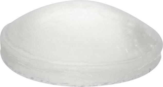 Immagine prodotto Tampone di protezione ø 10 mm 24 pz. (24 pz.)