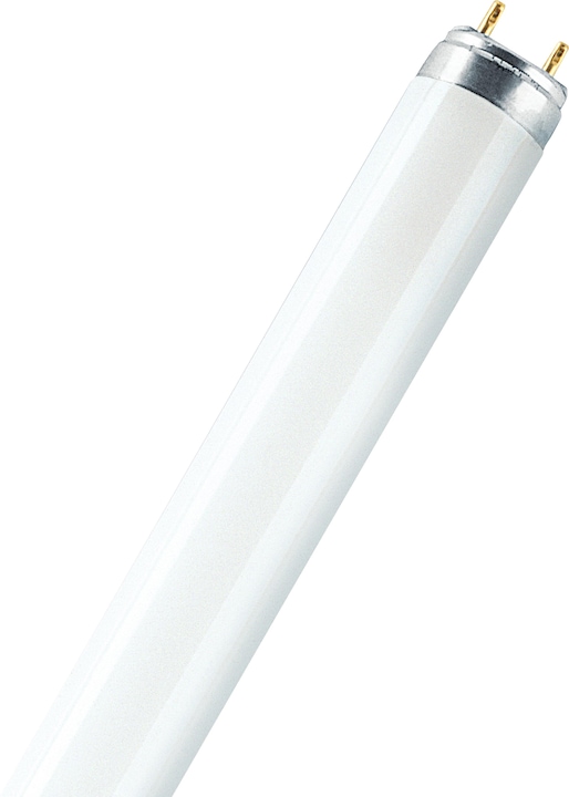 Immagine prodotto Osram Lampada fluorescente (G13, 36 W, 3350 lm, 1 x, G)